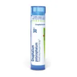 Gnaphalium_polycephalum30c_shadows_3000X3000