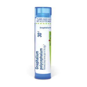 Gnaphalium_polycephalum30c_shadows_3000X3000