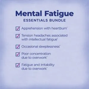 Mental Fatigue Essentials Bundle