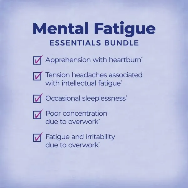 Mental Fatigue Essentials Bundle