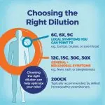 2024_Dilutions_MDT-1536×1536