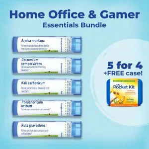 Home Office & Gamer Essentials Bundle