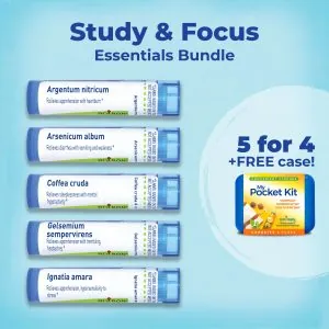 Study & Focus Essentials Bundle