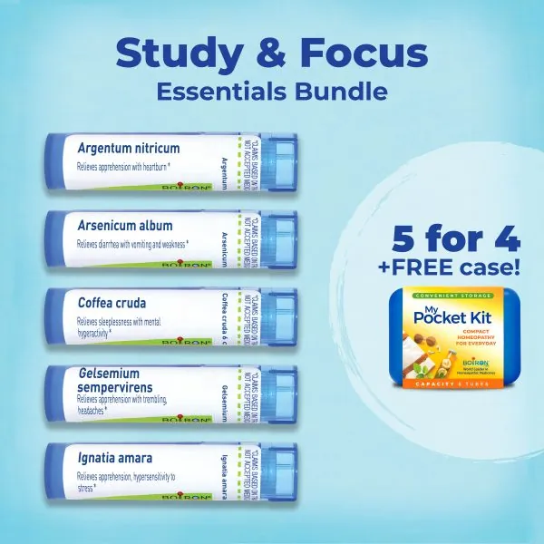 Study & Focus Essentials Bundle