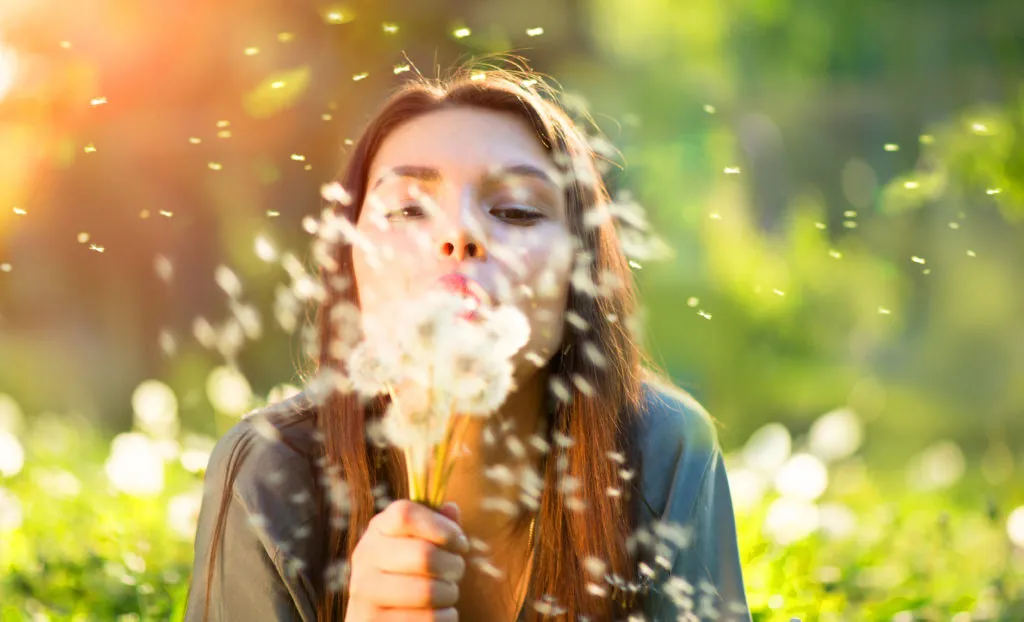 Beautiful young woman lying down on the field in green grass, blowing dandelions