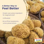 Spongia_Tosta_6C_BP_Havest