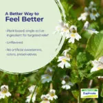 Euphrasia_6C_BP_Ingredient