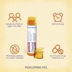 2025_Chestal_CC_Adult_Benefits