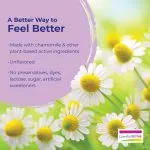 2025_Camilia_Bedtime_Ingredients