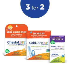 Back-to-School Bundle