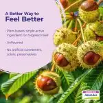 2025_Aesculus_Ingredient