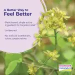 2025_Caulophyllum_Ingredient