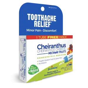 2025_Cheiranthus BP_LEFT34