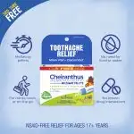 2025_Cheiranthus_Benefits