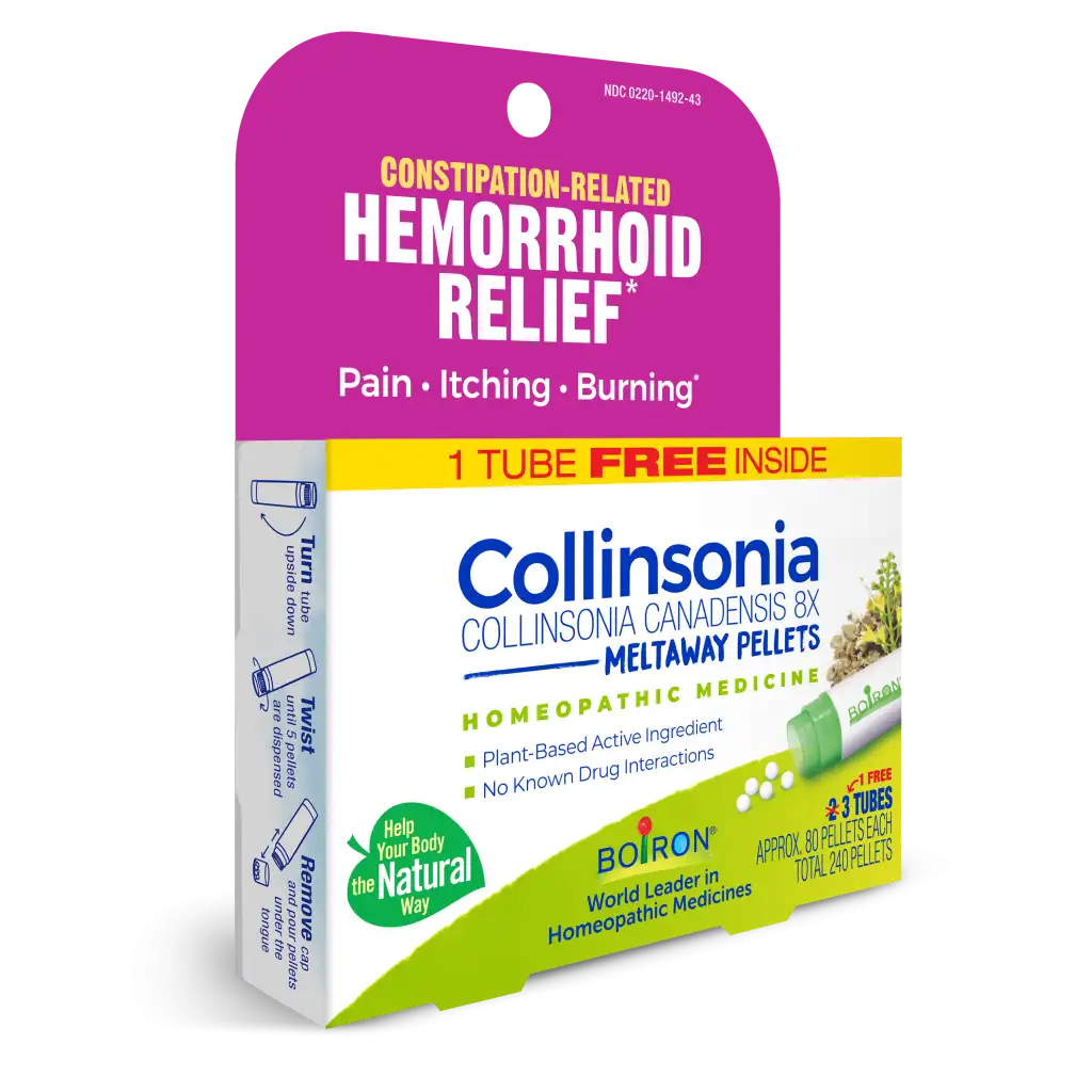 2025_Colllinsonia8X BP_LEFT34