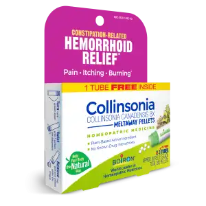 2025_Colllinsonia8X BP_LEFT34