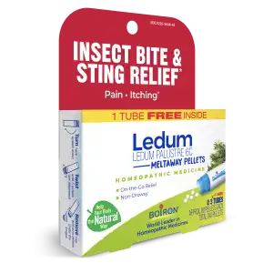 2025_Ledum6C BP_LEFT34