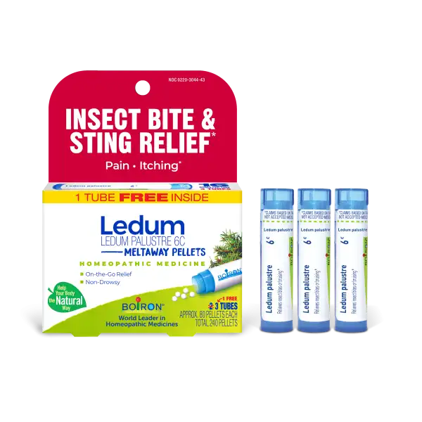 Ledum Palustre 6C Bonus Pack