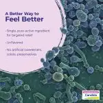 2025_candida_Ingredient