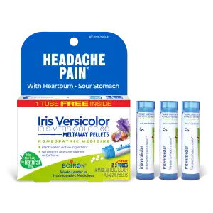 Iris Versicolor 6C Bonus Pack