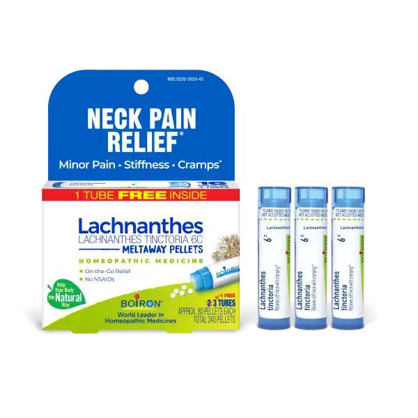 Lachnanthes Tinctoria 6C Bonus Pack